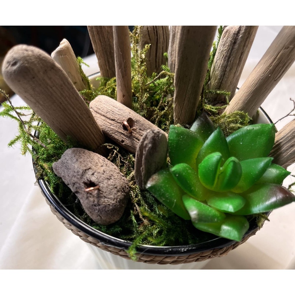 Tin pale Polka Dot Burlap Wrap Driftwood found Lake MI.  succulents
